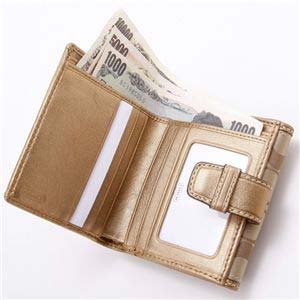 COACH(コーチ) ダブルホック財布 42057・小シグネチャー Khaki